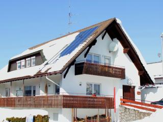 Apartment Herrischried near Ski Paradise, cleaning included - Herrischried - 7