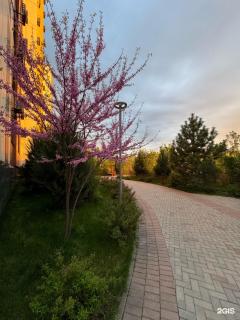 Новая уютная 2-х комнатная квартира в ЖК Аманат - Almaty - 9