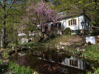 Charming Apartment in Weißenbrunn near Forest - Weißenbrunn - 2