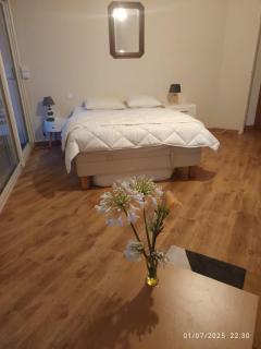 Grand appartement lumineux - Vannes - 9