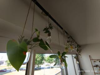 Grand appartement lumineux - Vannes - 8