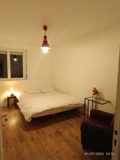 Grand appartement lumineux - Vannes - 1