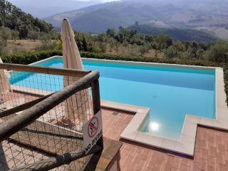 Le Vignacce - Lustignano - 1
