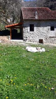 La Molnera - La Molina - 2