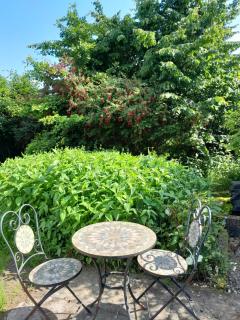 Butterfly Cottage Retreat - Private Studio Getaway - Delvin - 4