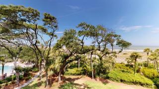 309 Windsor Place - Hilton Head Island - 8