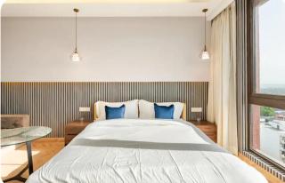 The Luxury Studio - Gurgaon - 6