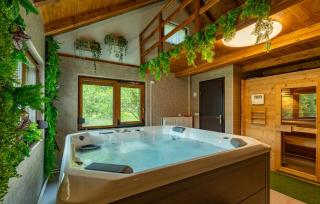 Awesome Home In Novo Zvecevo With Sauna - Novo Zvecevo - 4