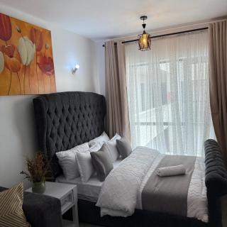 amu cozy studio apartment in fedha nairobi - Nairobi - 0