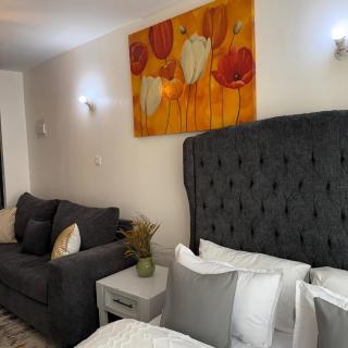amu cozy studio apartment in fedha nairobi - Nairobi - 3
