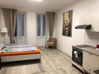 King bad & Sofa & parking - Brno - 6