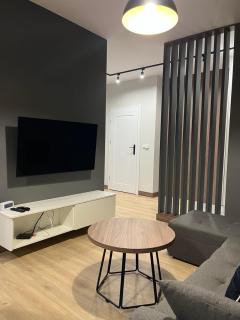 Apartament HALLERA - Pleszew - 2