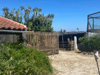 Boavista - Alojamento Rural perto da Ericeira - Safarujo - 1