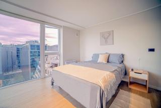 Modern Apartment with Unbeatable View - Santiago - 1