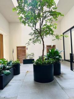 Luxury apartment in Guadalajara, Zapopan - Guadalajara - 3