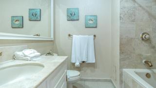Sonoran Sea - Puerto Peñasco - 5