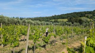 Agriturismo Amici Miei - Marliano - 8