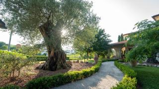 B&B Ulivo del Duca - Fermignano - 8