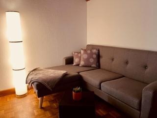 Studio unweit von Zürich - FHOWET001 - Wettingen - 1