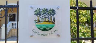 Tria Liodendra Corfu - Petrití - 7