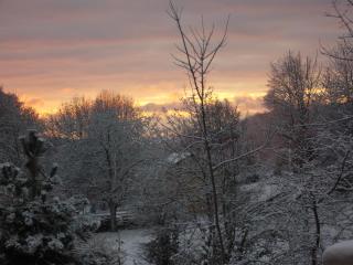 Le Jardin Ombragé - Saint-Paul-dʼIzeaux - 2