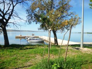 Apartments in Starigrad-Paklenica 41707 - Starigrad-Paklenica - 1