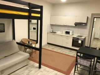 4 Person Room Great for Two Couples or a Family - Brno - 2