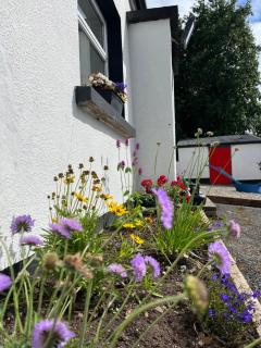 Campbell's Cottage - Blackwatertown - 8