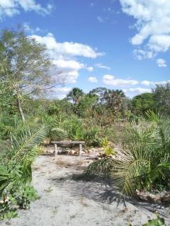 Odara Glamping-Jalapão - 5