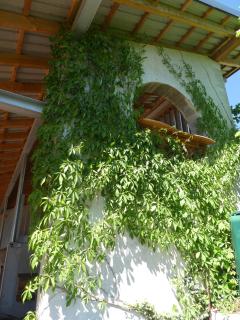 Apartments in Fischbach bei Dahn - Pfälzerwald 42914 - 2