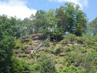 Apartments in Fischbach bei Dahn - Pfälzerwald 42914 - 1