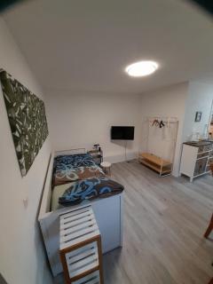 Apartment am Palmenhaus - Bad Schönborn - 9