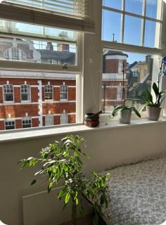 EXCLUSIVE LOCATION 4 guests - Londres - 4
