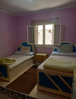 Beauty Apartment Cairo - Kairo - 3