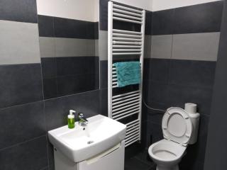 Spacious 5 Person Room Great for Families or Friends - Brno - 3