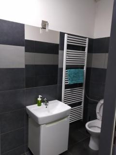 Spacious 5 Person Room Great for Families or Friends - Brno - 2
