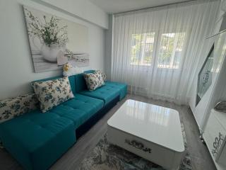 Apartament Silver Nest Comanesti - Comăneşti - 8