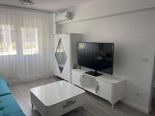 Apartament Silver Nest Comanesti - Comăneşti - 2