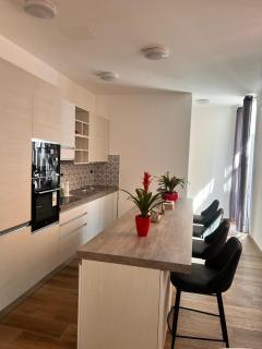 Residenza Colonna - Lanuvio - 5