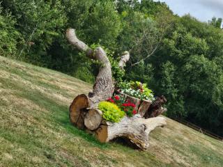 Maison Breizh Anjou'é - 8