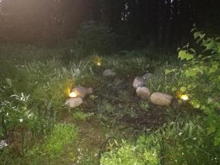 Apartment by the park - 7