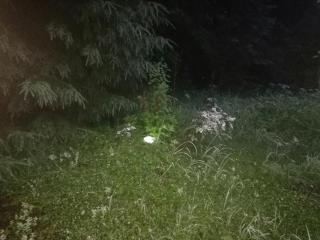 Apartment by the park - 8