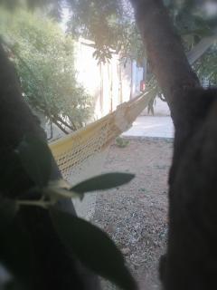 Gogo house in Faro Avlida - 4