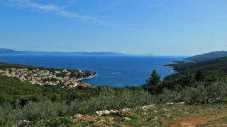 Apartments in Rabac 16693 - Rabac (Porto Albona) - 1