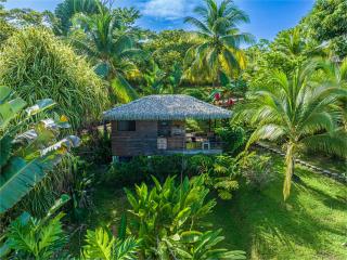 Chalet Jardin Tropical - 0