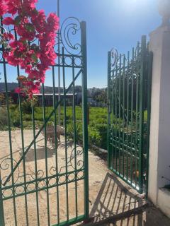 Fluture - Larache - 8