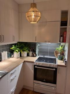 Luxurious Green home Central Stockholm family friendly - Estocolmo - 8
