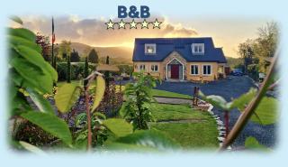 Mon Petit Cottage - B&B and House in Bunclody - Bunclody - 0