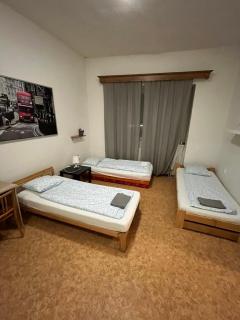 XXL Apartment Ideal for Large Families or Groups - Brno - 0