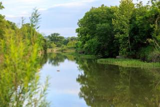 Verbena Waterfront with Hot Tub - Tivydale - 6